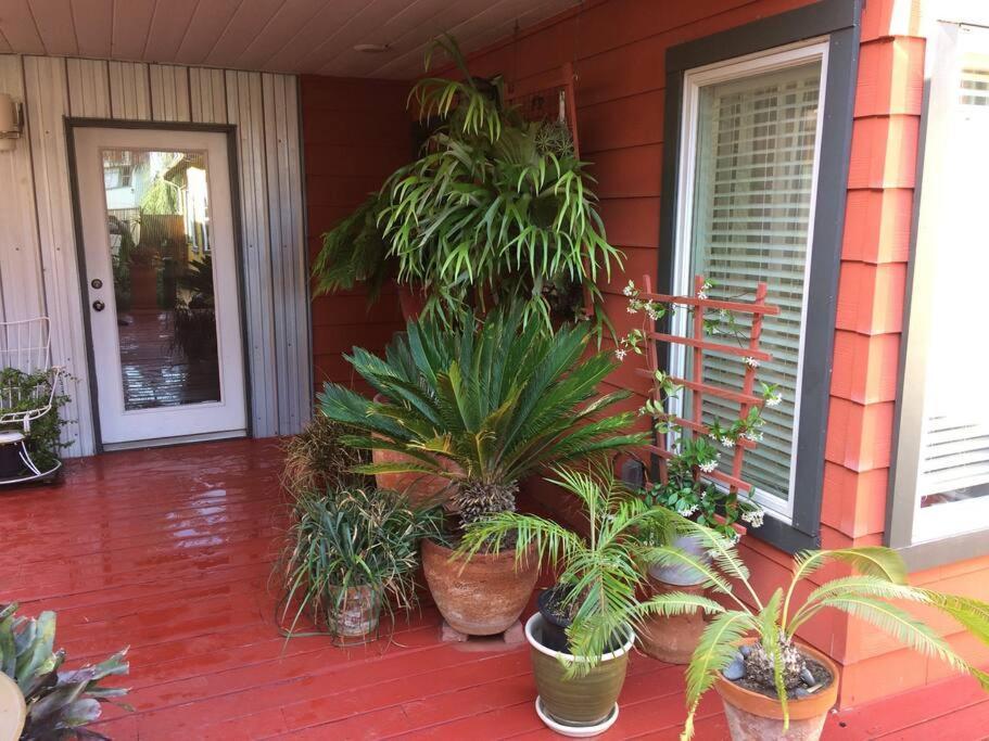 Serenity House Near Gaslamp, San Diego Zoo & Petco Экстерьер фото